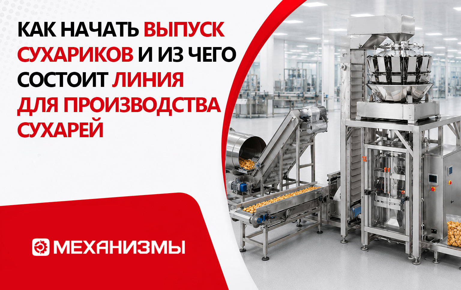 Как начать выпуск сухариков и из чего состоит линия для производства сухарей
